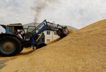Фото - Минсельхоз: Россия готова экспортировать во втором полугодии до 30 млн тонн зерна