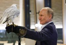 Фото - Путин встретился с орнитологами соколиного центра «Камчатка»