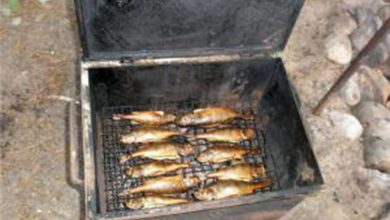 Фото - Около 80% зарубежных поставщиков печей для копчения рыбы покинули рынок России из-за санкций
