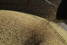 Фото - Польша заявила о доставке в страну около 1 млн т зерна с Украины