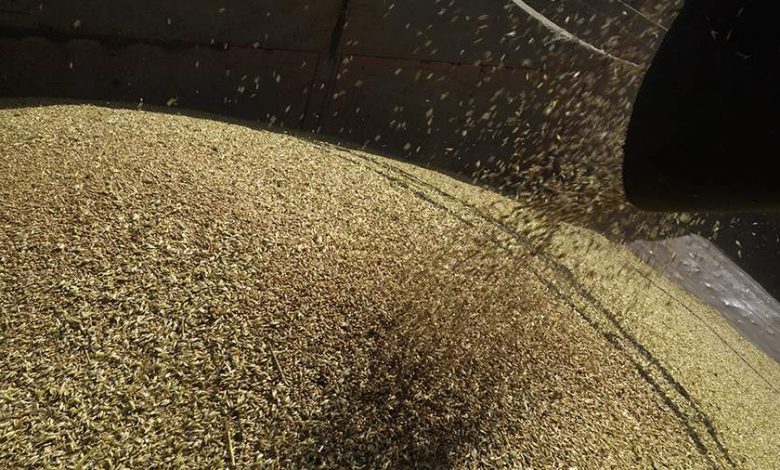 Фото - Польша заявила о доставке в страну около 1 млн т зерна с Украины