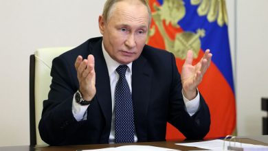 Фото - Путин: действия России в ОПЕК+ направлены на стабилизацию мировых рынков