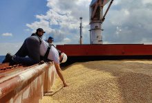 Фото - Россия приостановила действие зерновой сделки на неопределенный срок