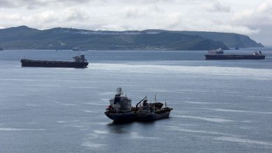 Фото - Bloomberg: морские перевозки российской нефти достигли пятимесячного максимума